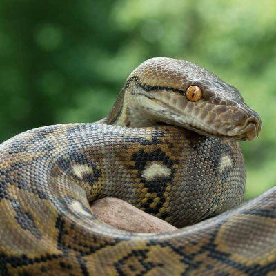 New features in Python 3.8